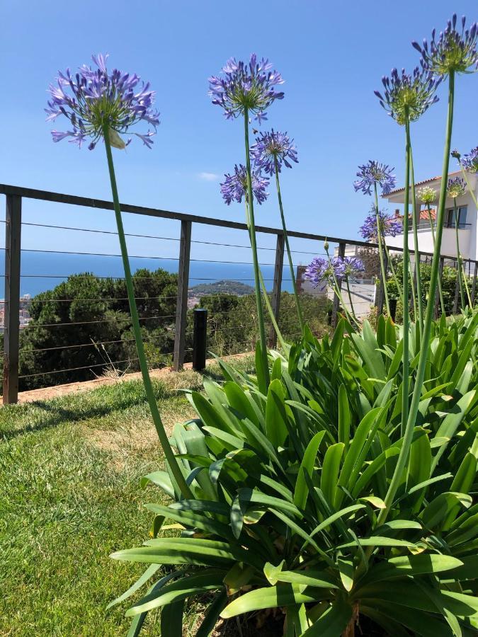 Villa Oasis Costa Brava โยเรตเดมาร์ ภายนอก รูปภาพ